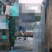 Le immagini delle telecamere la mattina prima del fatto