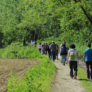 Immagine di repertorio di un sentiero delle Pietre Bianche