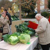 La sagra del Cavolo Verza è nata nel 1996