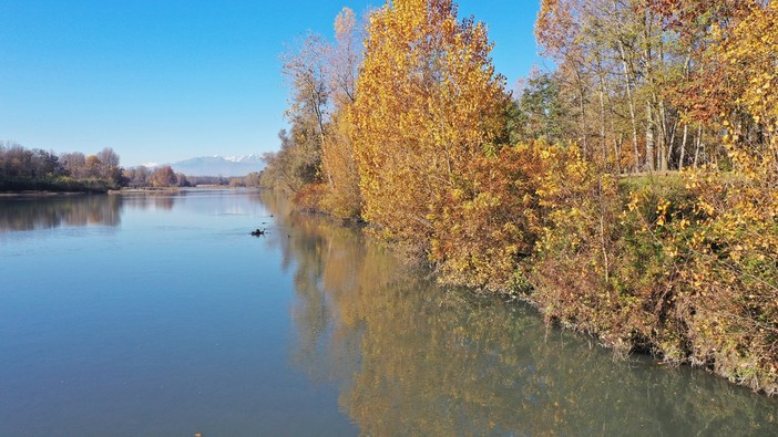 Oltre 2 milioni di euro per la forestazione urbana di Chivasso