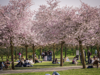 Foto di Michele d'Ottavio Foto di Michele d'Ottavio