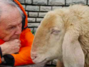 Al Maestro dell'animazione Bruno Bozzetto il Premio Stella della Mole Green