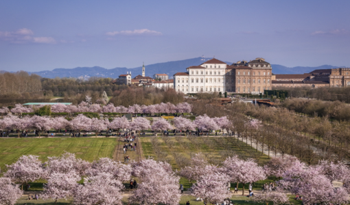 Foto di Michele d'Ottavio Foto di Michele d'Ottavio