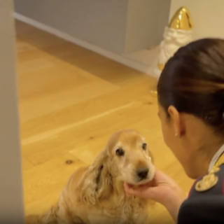 Polizia di Stato: nuovo spot contro l’abbandono degli animali durante il periodo estivo.