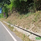 Provinciale 58 del Pedaggio a Castellamonte: senso unico alternato fino al 31 agosto Provinciale 58 del Pedaggio a Castellamonte: senso unico alternato fino al 31 agosto