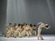 La compagnia taiwanese "Cloud Gate Dance Theatre" inaugura l'edizione 2026 di Torinodanza La compagnia taiwanese "Cloud Gate Dance Theatre" inaugura l'edizione 2026 di Torinodanza