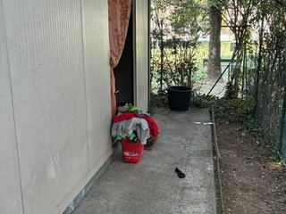 In corso lo sgombero di una ex bocciofila In corso lo sgombero di una ex bocciofila