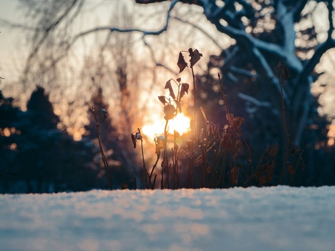 Samuel James - tramite Unsplash Samuel James - tramite Unsplash