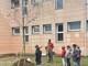 Un nuovo albero per la scuola primaria Anna Frank di Druento