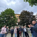 L'appello dei residenti per la potatura degli alberi