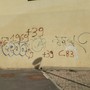 Svastiche in cascina Giajone: scatta la pulizia immediata, sabato riapre l'Ecomuseo Svastiche in cascina Giajone: scatta la pulizia immediata, sabato riapre l'Ecomuseo