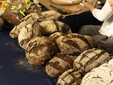 Moncalieri lancia la seconda edizione del Salone del Pane Moncalieri lancia la seconda edizione del Salone del Pane