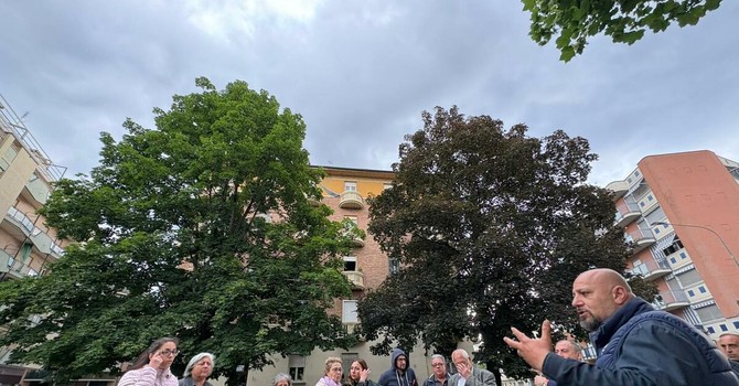 L'appello dei residenti per la potatura degli alberi