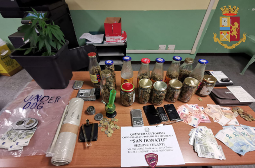 Torino, prepara la “conserva” di marijuana: arrestato