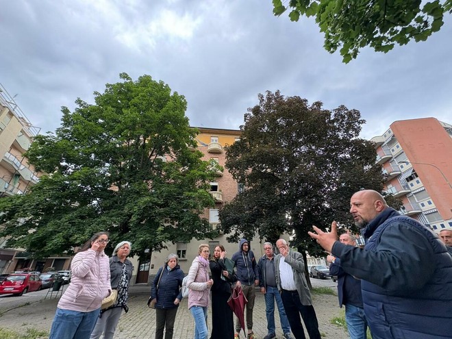 L'appello dei residenti per la potatura degli alberi