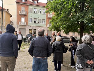 L'appello dei residenti per la potatura degli alberi L'appello dei residenti per la potatura degli alberi