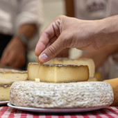 Presentato in Regione Cheese 2025: il mondo del latte crudo tra gusto, territori e futuro 
