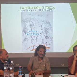 Spina Reale: raccolte più di 1000 firme in pochi giorni (foto di archivio)
