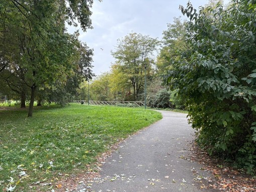Feste e schiamazzi di notte, residenti esasperati anche dalla musica delle giostre al Parco Calabria Feste e schiamazzi di notte, residenti esasperati anche dalla musica delle giostre al Parco Calabria