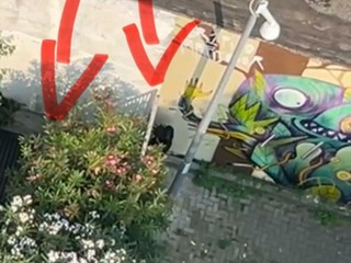 Gli spacciatori hanno trasformato il giardino in un wc