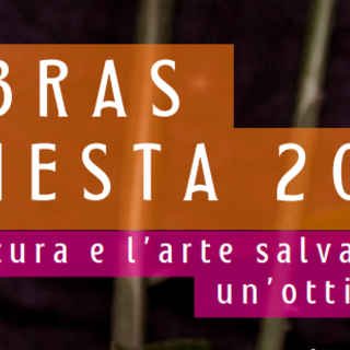 Ritorna &quot;Palabras en Fiesta&quot;: viaggio attraverso cultura e arte con un'ottica di genere