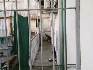Il salvataggio da parte delle guardie zoofile