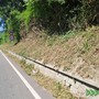 Provinciale 58 del Pedaggio a Castellamonte: senso unico alternato fino al 31 agosto