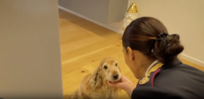 Polizia di Stato: nuovo spot contro l’abbandono degli animali durante il periodo estivo. Polizia di Stato: nuovo spot contro l’abbandono degli animali durante il periodo estivo.