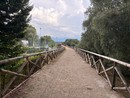 Da San Mauro a Moncalieri in bici: nel 2026 via libera al nuovo asse green Da San Mauro a Moncalieri in bici: nel 2026 via libera al nuovo asse green