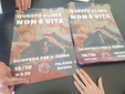 A Torino si torna a scioperare per il clima