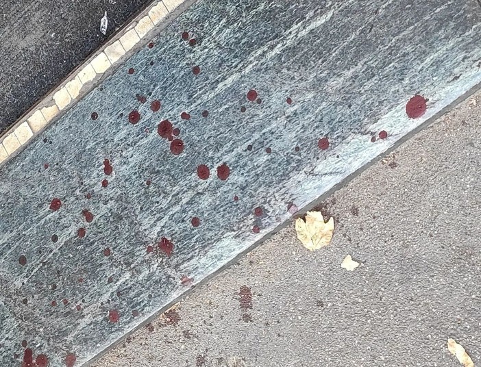 Foto di archivio di tracce di sangue sul terreno