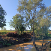 Santena investe sulla sicurezza idraulica Santena investe sulla sicurezza idraulica