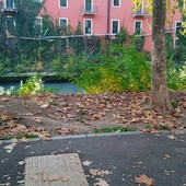 La staccionata scomparsa lungo la Dora