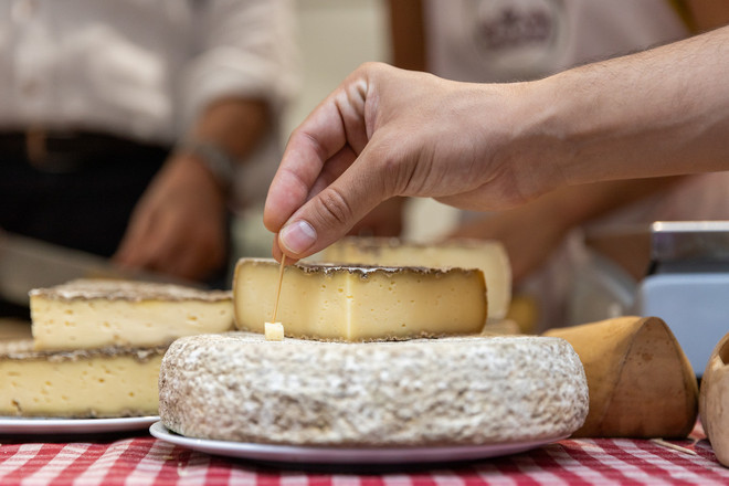 Presentato in Regione Cheese 2025: il mondo del latte crudo tra gusto, territori e futuro 