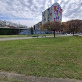 Al via il taglio dell'erba