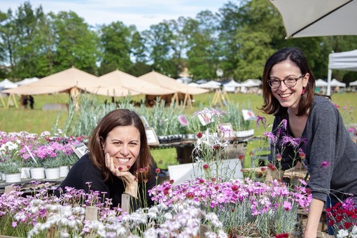 Al Castello di Masino, la Tre Giorni per il Giardino 2026 Al Castello di Masino, la Tre Giorni per il Giardino 2026