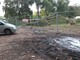 Polemica a Falchera per il taglio degli alberi