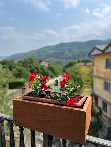 Chi vuole adottare una fioriera? È partita una nuova iniziativa di Comune e Pro loco a Torre Pellice