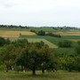 “A piccoli passi”: escursione immersiva per bambini alla scoperta delle colline chieresi
