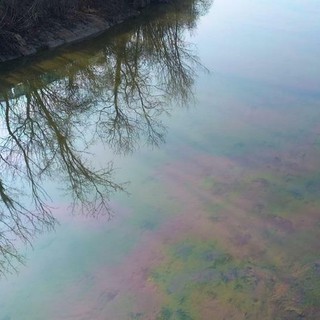 Sostanze nel torrente Chisola
