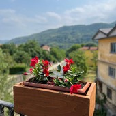 Chi vuole adottare una fioriera? È partita una nuova iniziativa di Comune e Pro loco a Torre Pellice