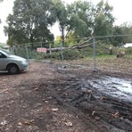Polemica a Falchera per il taglio degli alberi