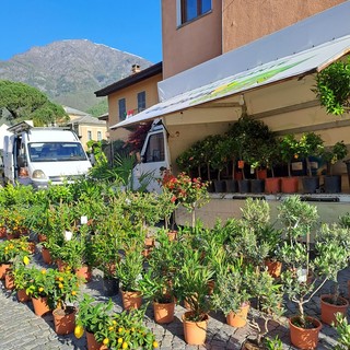 Centro storico di Torre Pellice in festa con la rassegna ‘Fiori &amp; Sapori’