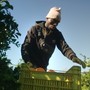 CinemAmbiente e Give peace a screen presentano The Pickers: un viaggio tra i lavoratori della frutta