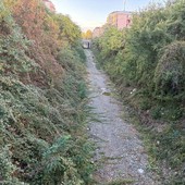 Il trincerone di via Sempione