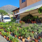 Centro storico di Torre Pellice in festa con la rassegna ‘Fiori &amp; Sapori’