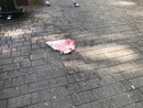 Sangue per terra ai giardinetti