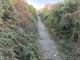 Il trincerone di via Sempione Il trincerone di via Sempione
