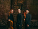 Il torinese Trio Concept torna a casa con l'OFT: "Siamo debitori alla città, un'eccezione in Italia per la musica da camera" [INTERVISTA]