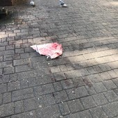 Sangue per terra ai giardinetti